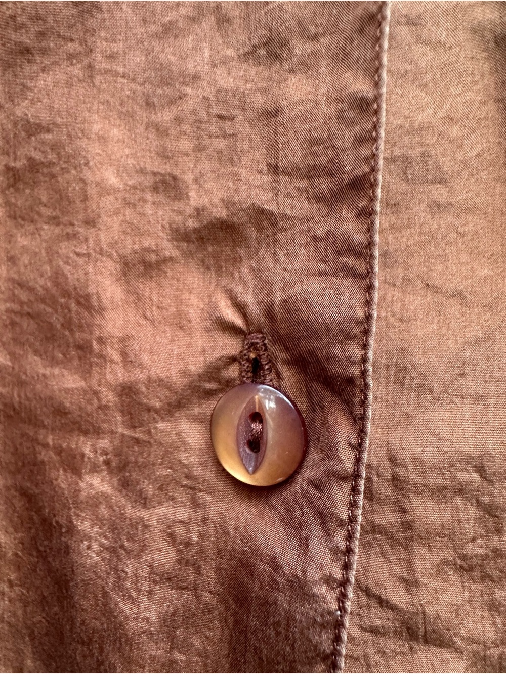 Bronze Silk Poet Blouse - Picture 2 of 15
